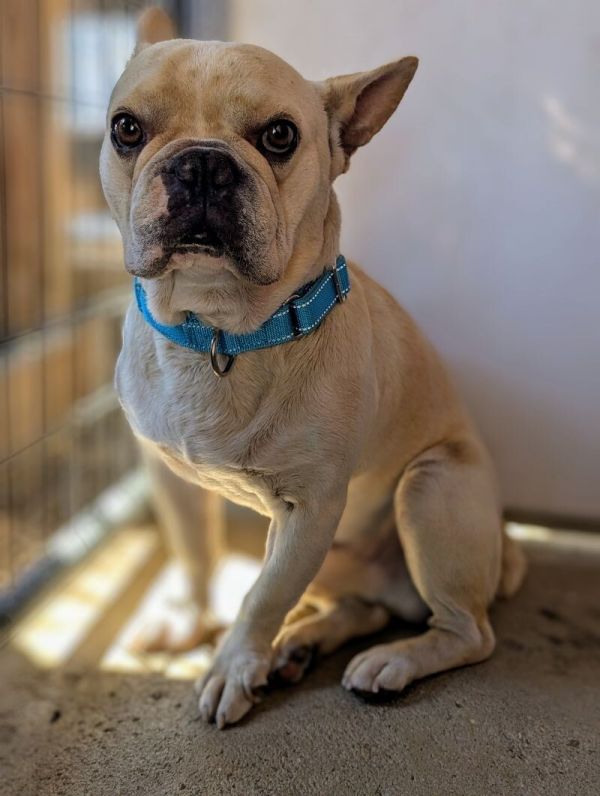 Vinnie