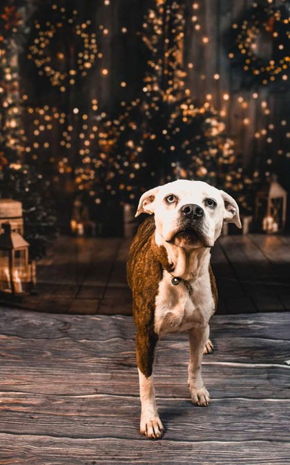 Athena Grace photo 1