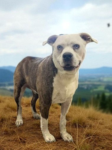 Athena Grace thumbnail 2