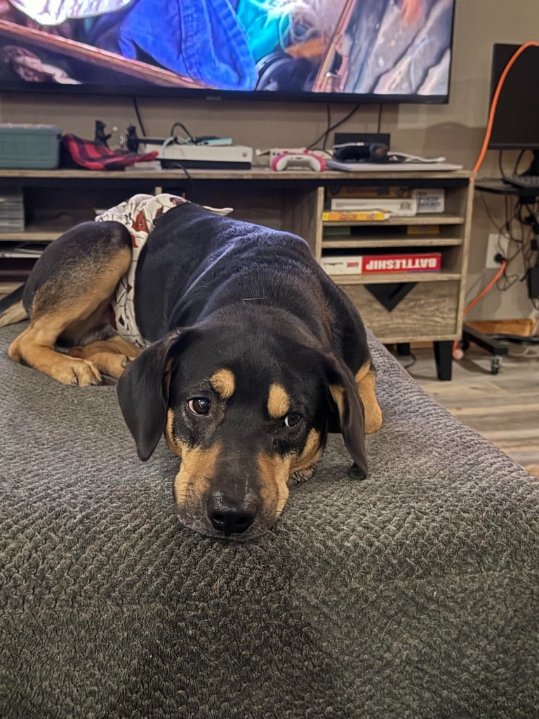 Cooper