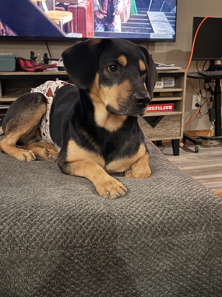 Cooper