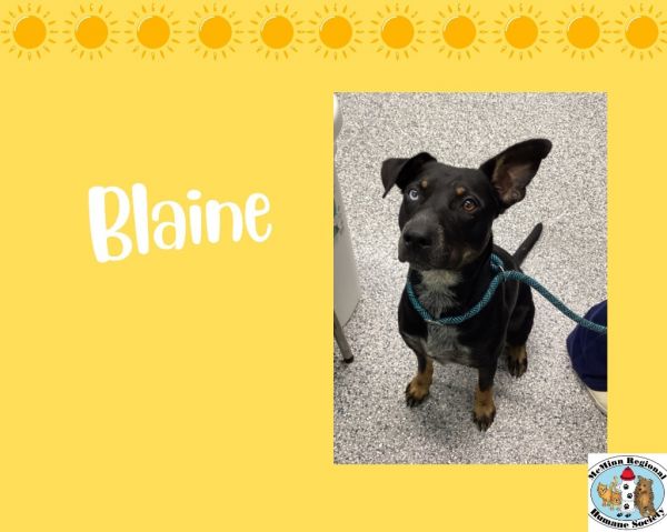 Blaine