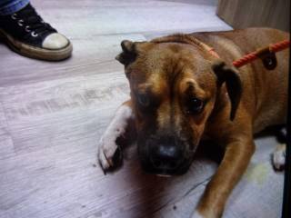 Tuka