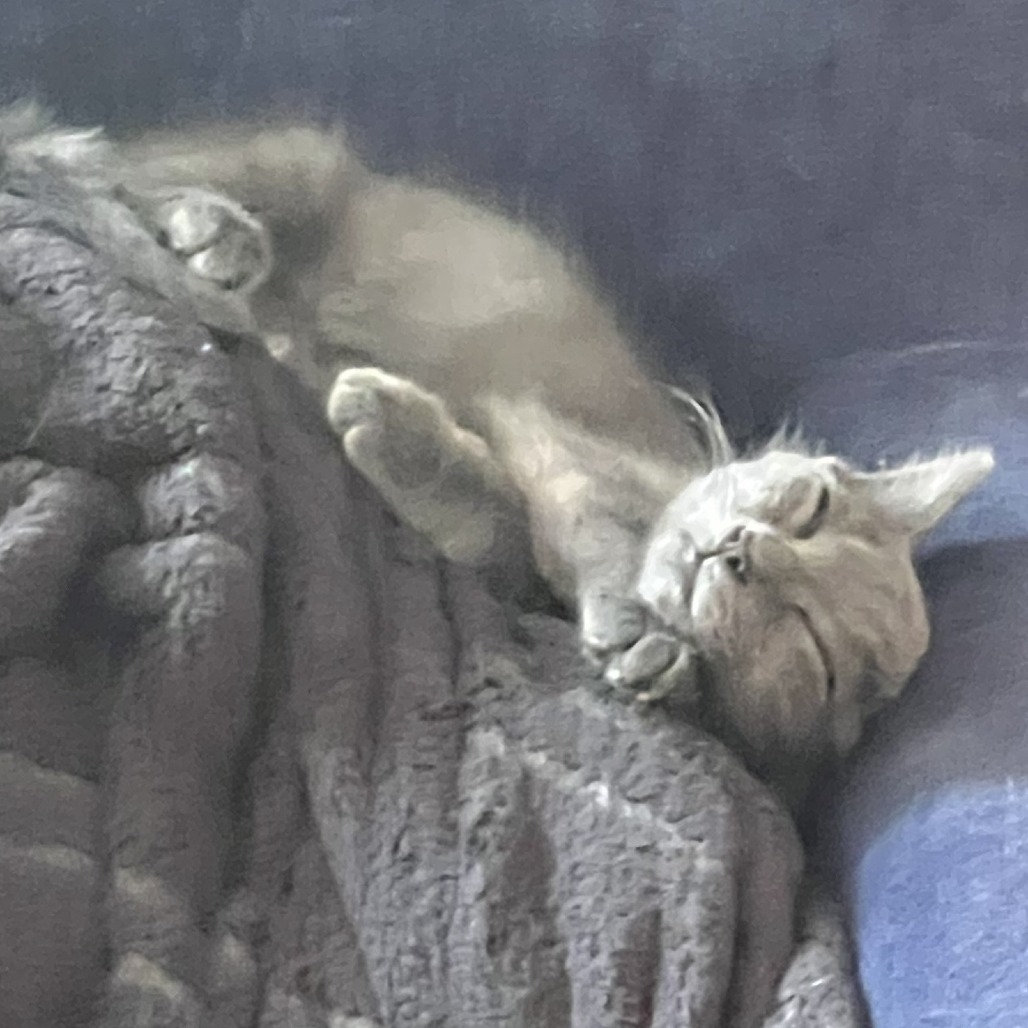 Grimm
