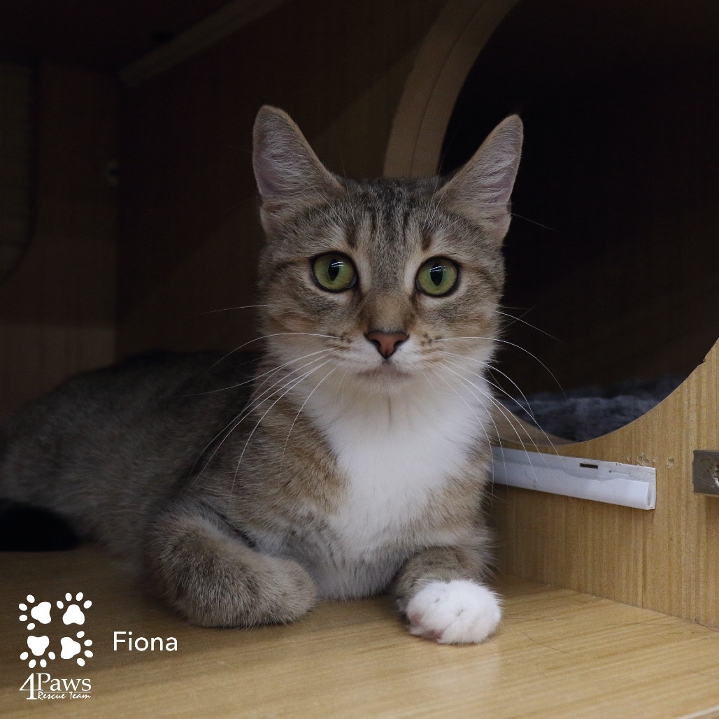 Fiona Hyattsville