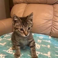 George