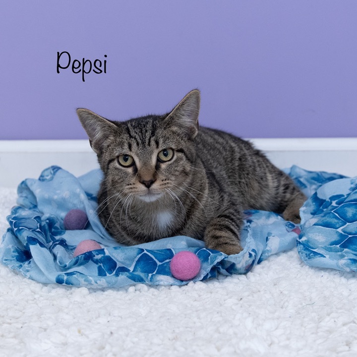 Pepsi