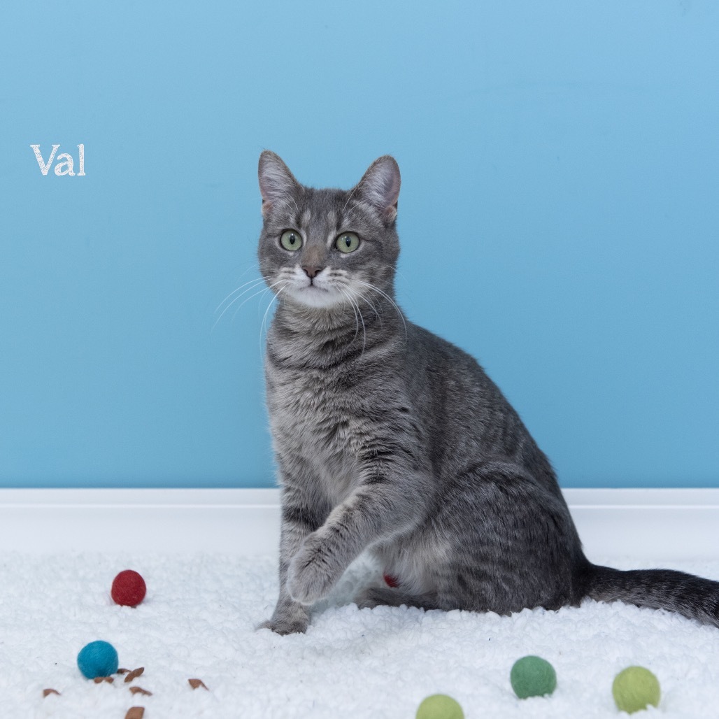 Val