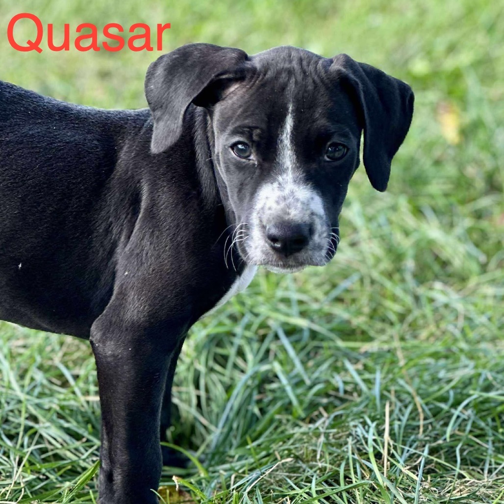 Quasar