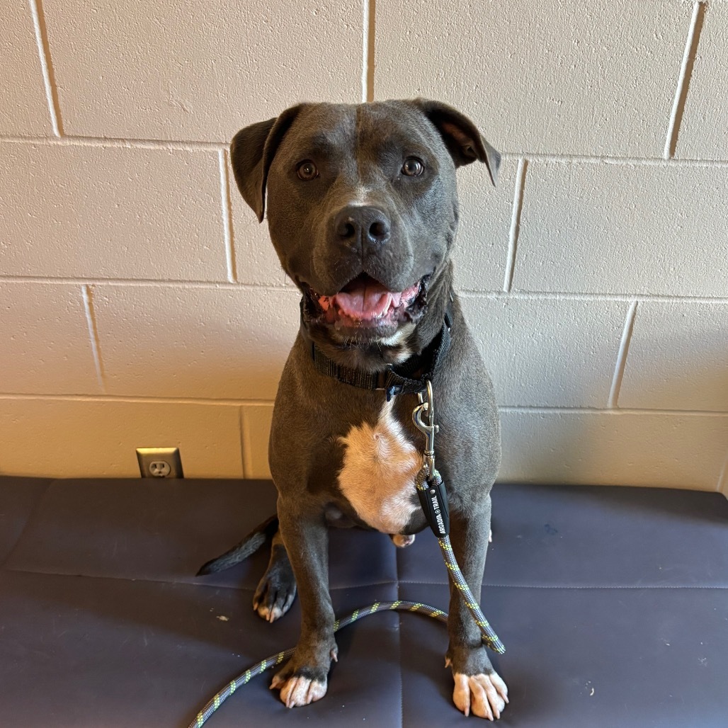 Tyson