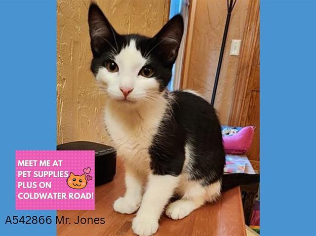 MR. JONES