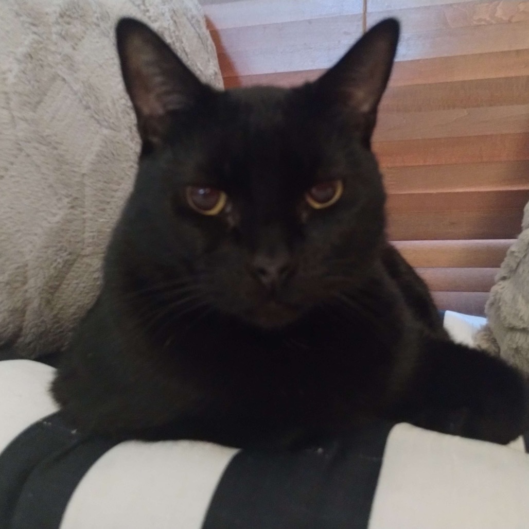 Penelope