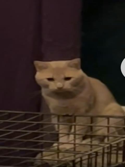 PRINCY