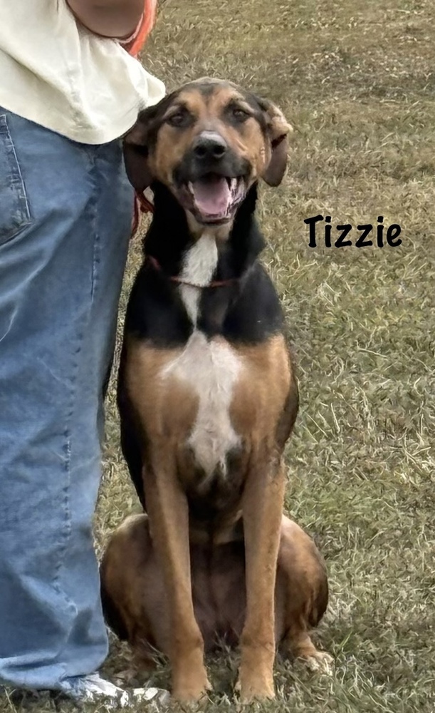 Tizzie