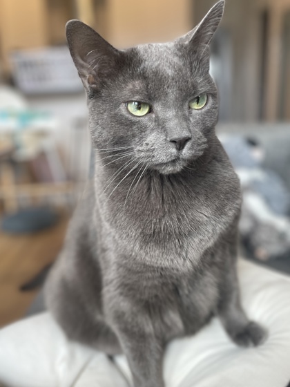 Arthur