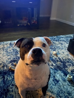 Tuco