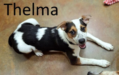 Thelma
