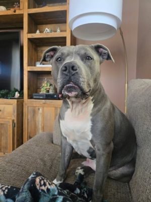 Ford Ruff