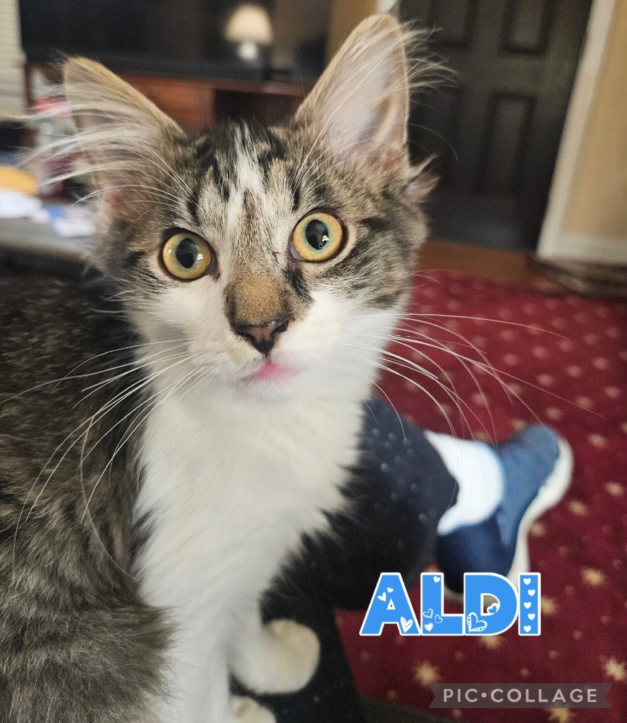 Aldi