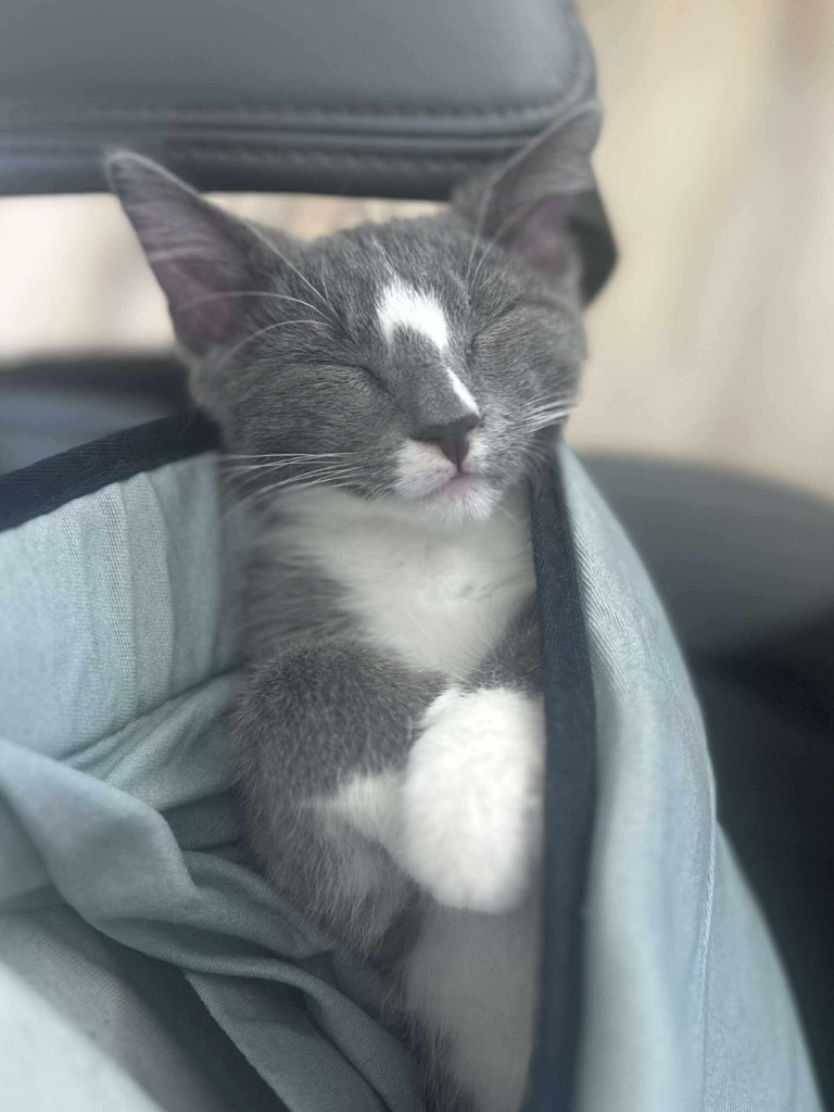 Rocket