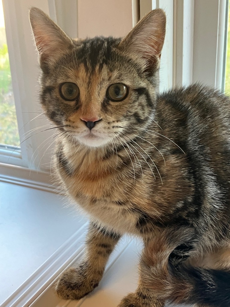 Debbie 4 (Poco)