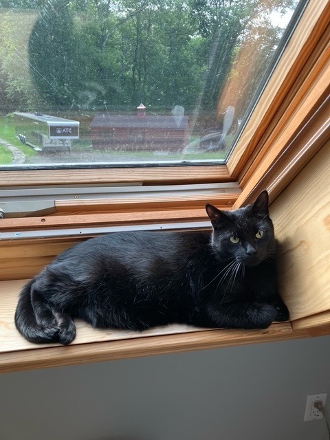 Finnegan