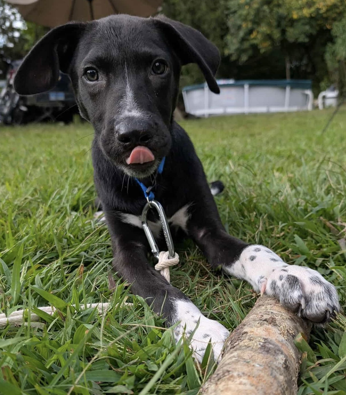 TWO TIMING