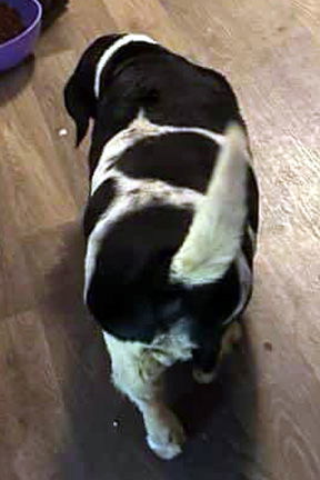 Ellie C thumbnail 3