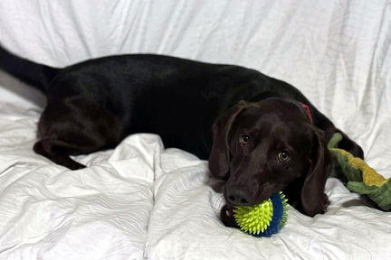 Ellie B thumbnail 2