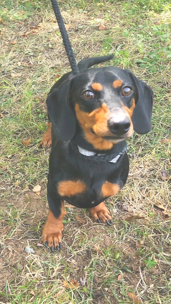 Oliver ()