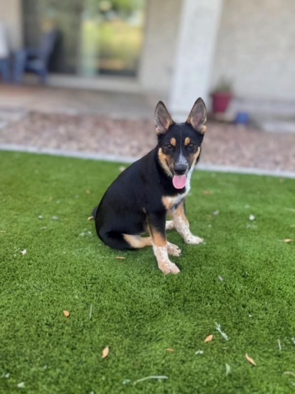 Duke