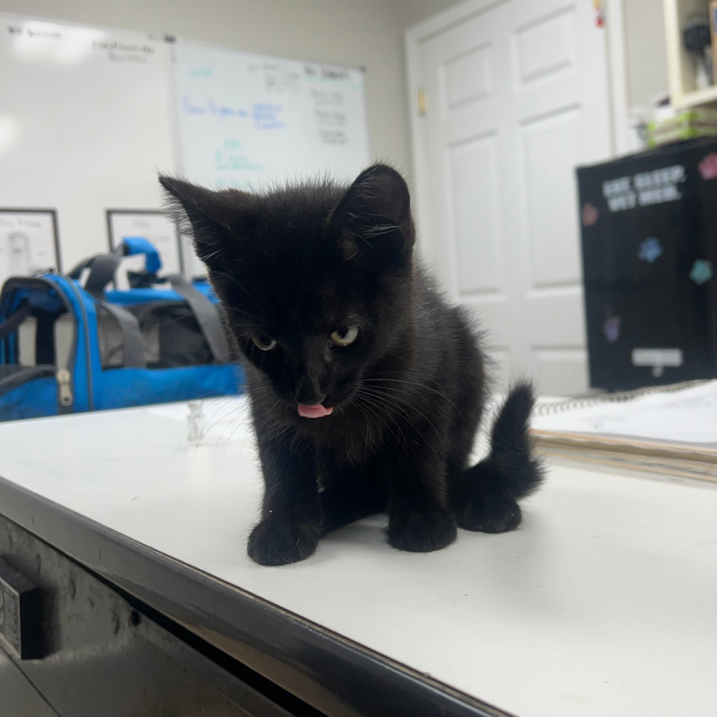 Binx