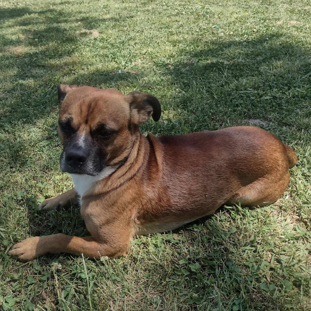 Nash