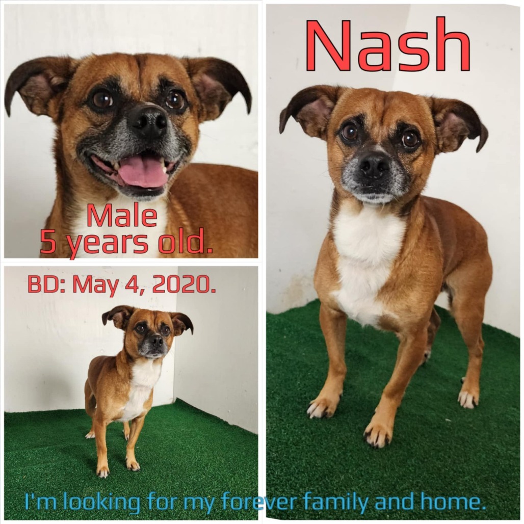 Nash