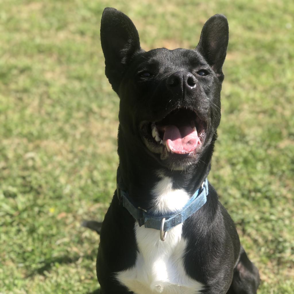 Vader
