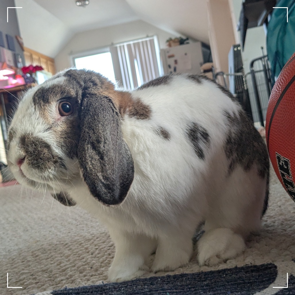 Bunjamin