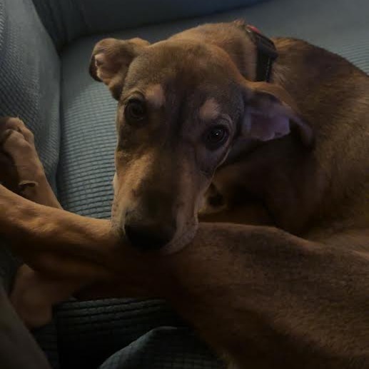Stamp - Sweet Girl with Floppy Ears!