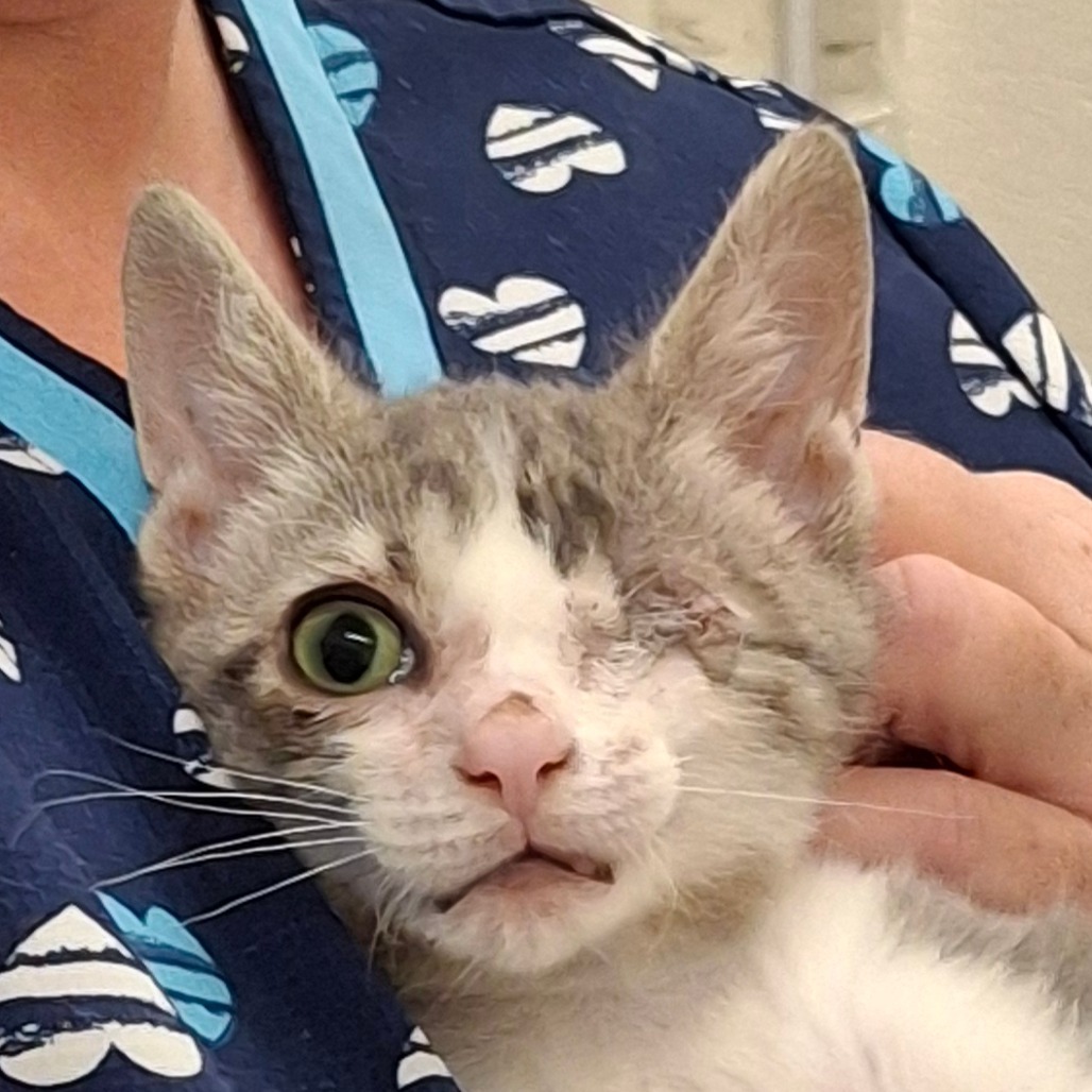Benny