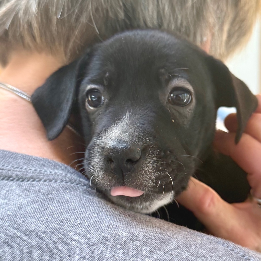Ella