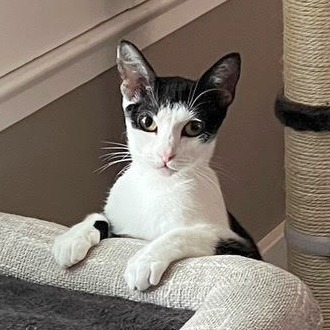 Ella