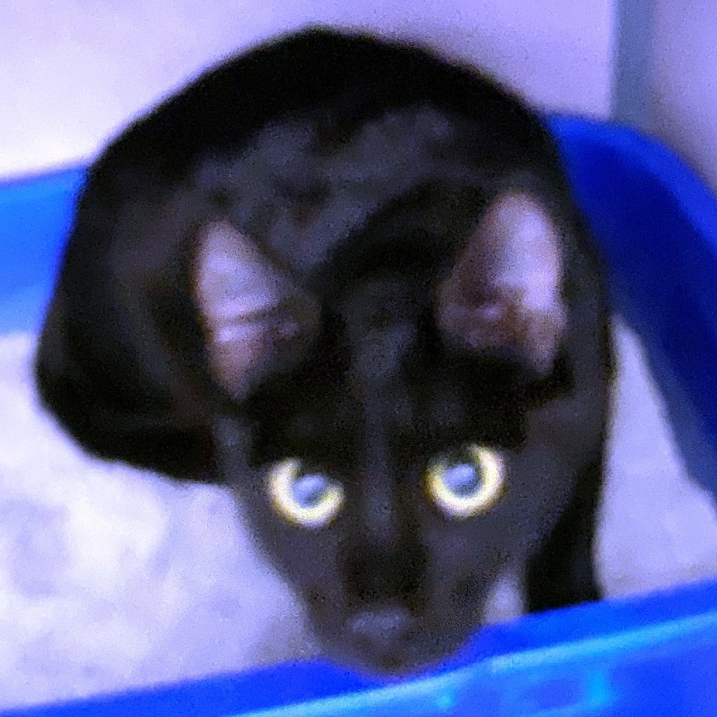 Estefan