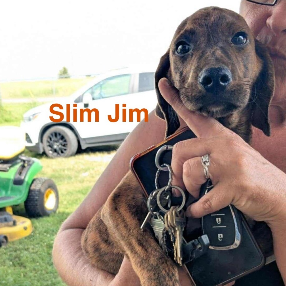 Slim Jim