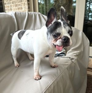 Precious