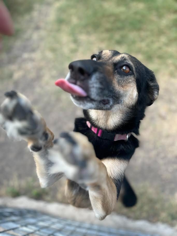Luka