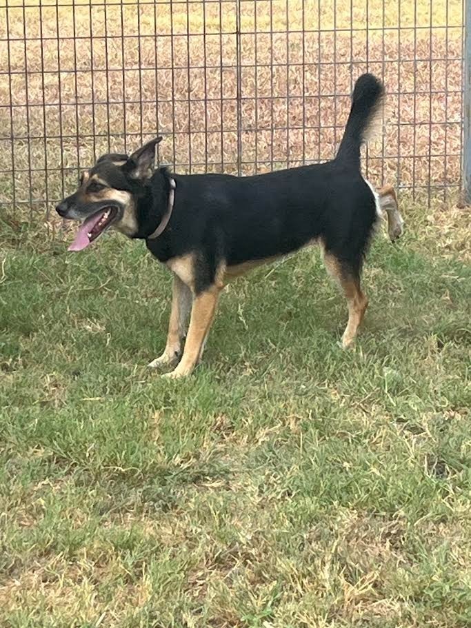 Luka
