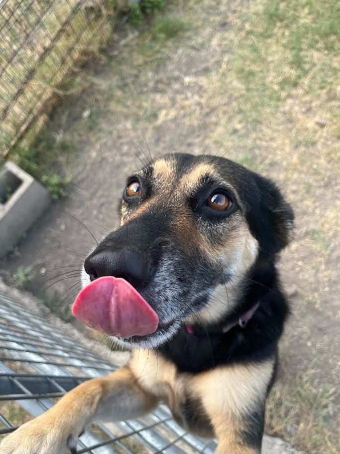 Luka