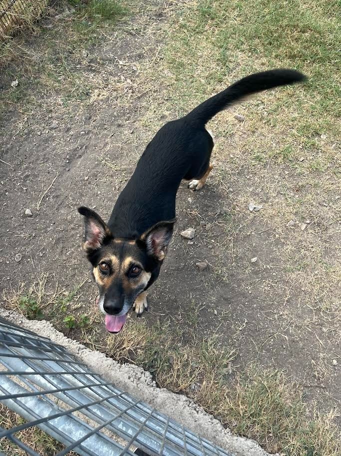Luka