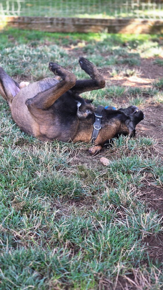 Zippy located in OR