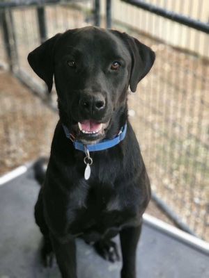 Cooper Man