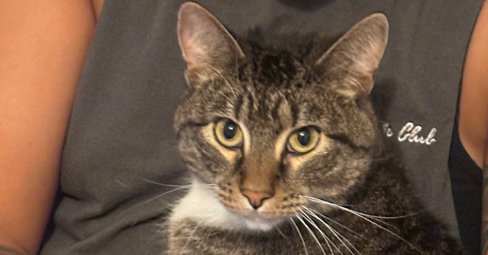 Abner